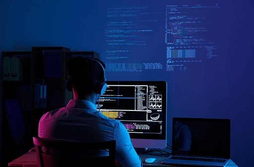 E-commerce & Pagos